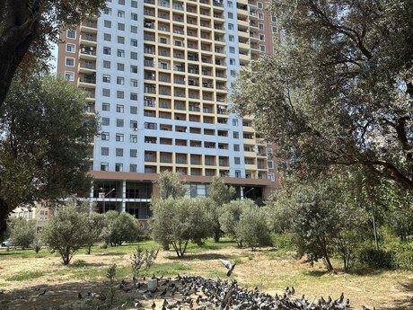 2 otaqlı mənzil, 111 m², Nəsimi: 220 000 ₼ 2