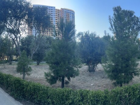 2 otaqlı mənzil, 111 m², Nəsimi: 220 000 ₼ 5