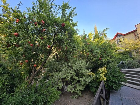 8 otaqlı həyət evi, 400 m², Şüvəlan: 700 000 ₼ 5