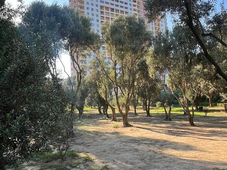2 otaqlı mənzil, 78 m², Nəsimi: 255 000 ₼ 3