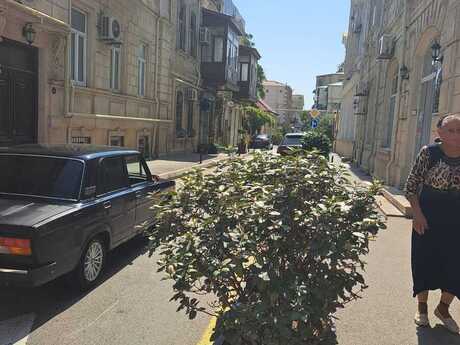 1-room apartment, 18 m², İçəri Şəhər: 118 000 ₼ 3