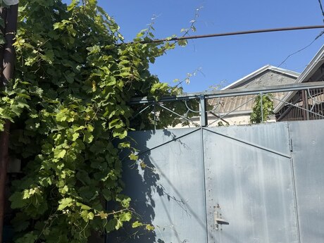 3 otaqlı həyət evi, 80 m², Binəqədi: 75 000 ₼ 2