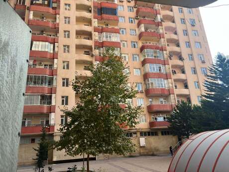 2 Şah İsmayıl Xətai