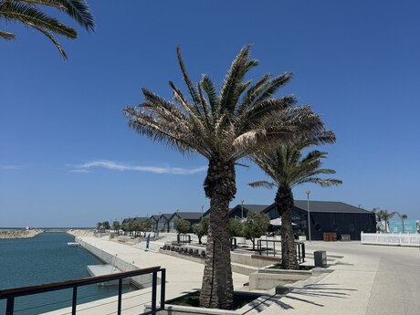2 otaqlı mənzil, 64 m², Marina Village: 348 000 ₼ 2