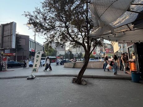 2 otaqlı mənzil, 40 m², Memar Əcəmi: 145 000 ₼ 3