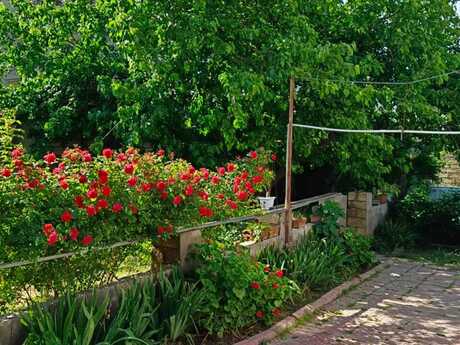 4 otaqlı həyət evi, 520 m², Biləcəri: 150 000 ₼ 5