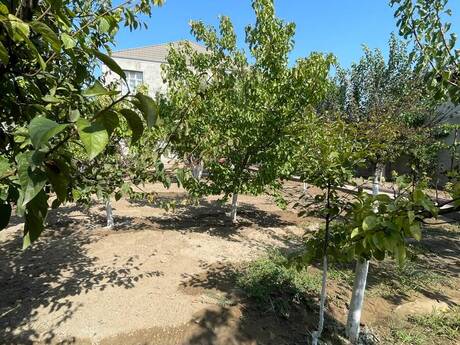 7 otaqlı həyət evi, 200 m², Novxanı: 250 000 ₼ 4