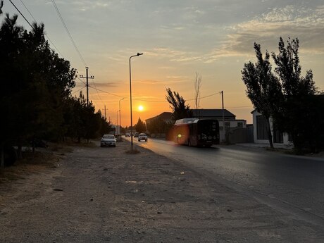 Elan №6483345 - Bakı, Saray q., 12 sot