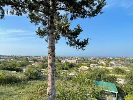 5 otaqlı həyət evi, 250 m², Novxanı: 279 000 ₼ 5