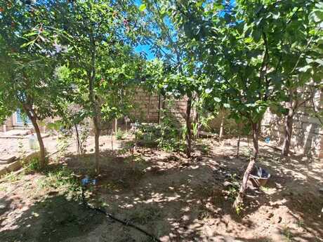 4 otaqlı həyət evi, 140 m², Buzovna: 78 000 ₼ 4