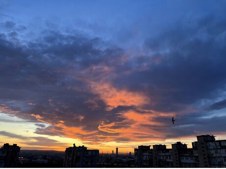 2-room apartment for rent, 50 m², Xalqlar Dostluğu: 650 ₼/mo 3