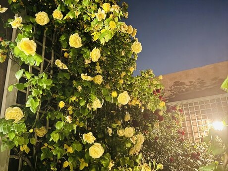 6 otaqlı həyət evi, 330 m², Nardaran: 1 700 000 ₼ 5