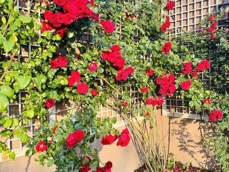 6 otaqlı həyət evi, 330 m², Nardaran: 1 700 000 ₼ 4