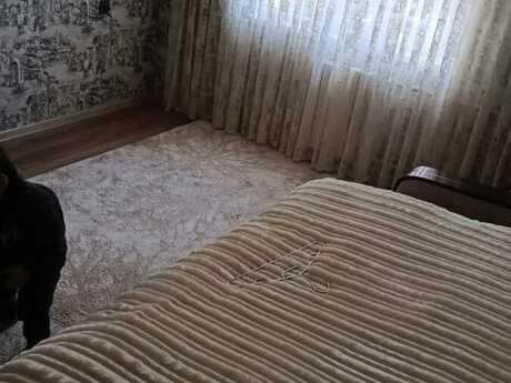 4-room apartment, 110 m², Yeni Yasamal: 250 000 ₼ 4