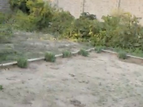 3-room house, 90 m², Albalılıq: 185 000 ₼ 5