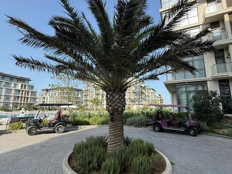 Nardaranda 3 otaqlı yeni tikili mənzil satılır, 117 m², 270 000 AZN, şəkil 3 / 12