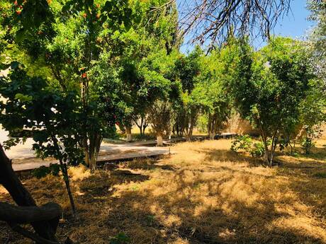 Türkanda 3 otaqlı həyət evi kirayə verilir, 100 m², 80 AZN/ay, şəkil 5 / 12
