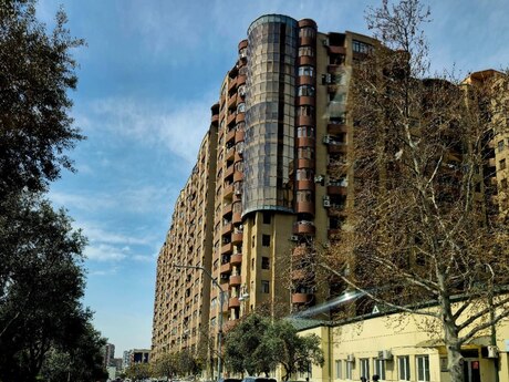 3 Şah İsmayıl Xətai