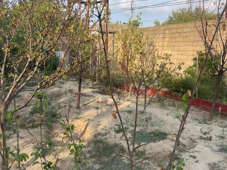 6 otaqlı həyət evi, 200 m², Novxanı: 160 000 ₼ 5