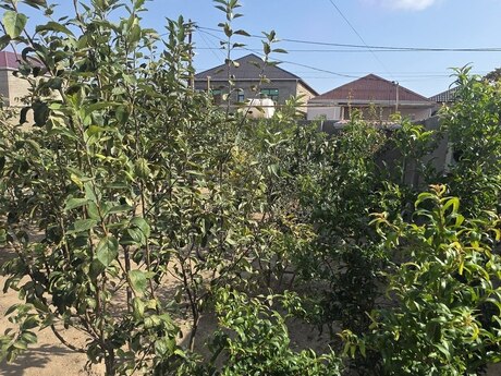 3 otaqlı həyət evi, 120 m², Yeni Suraxanı: 120 000 ₼ 2