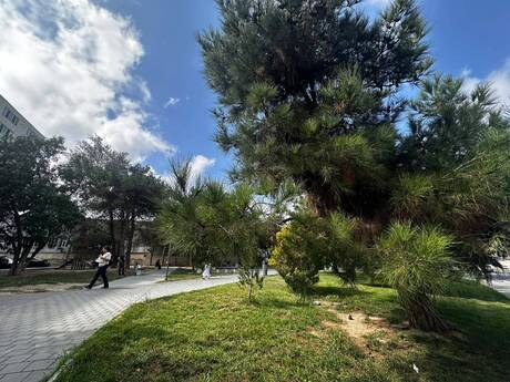 2 otaqlı mənzil, 40 m², Gənclik: 142 000 ₼ 2