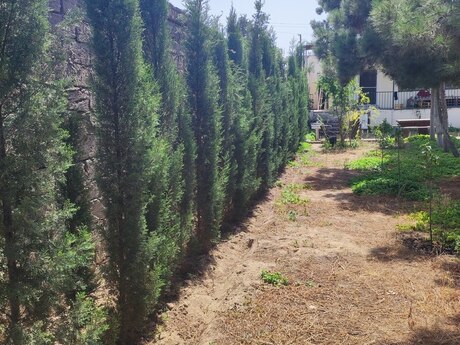 4 otaqlı həyət evi, 160 m², Mərdəkan: 395 000 ₼ 4