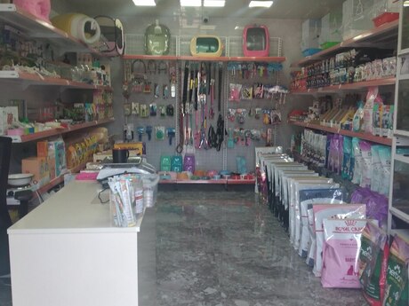 Elan №6485623 - Bakı, Elmlər Akademiyası m., 25 m²
