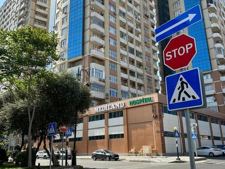 2 Şah İsmayıl Xətai