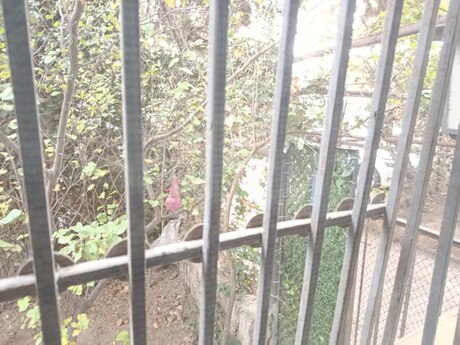 4-room apartment, 70 m², Yasamal: 290 000 ₼ 3