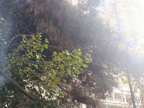 4-room apartment, 70 m², Yasamal: 290 000 ₼ 4