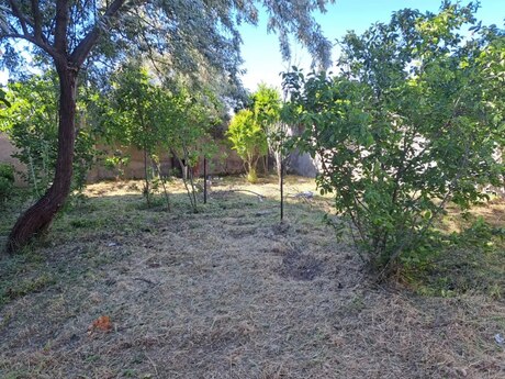 5 otaqlı həyət evi, 200 m², Saray: 170 000 ₼ 2