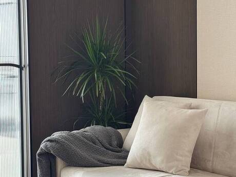 Elan №6485964 - Bakı, Nəriman Nərimanov m., 2 otaqlı, 63 m², 10/17 mərtəbə