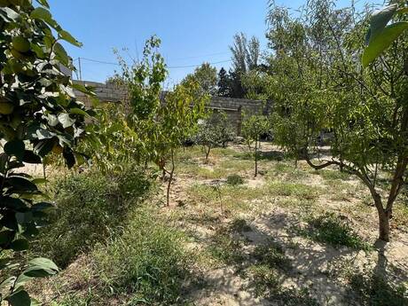5 otaqlı həyət evi, 165 m², Novxanı: 179 000 ₼ 4