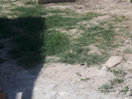 2 otaqlı həyət evi, 58 m², Pirşağı: 39 000 ₼ 3