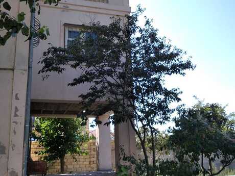 9 otaqlı həyət evi, 420 m², Novxanı: 400 000 ₼ 5