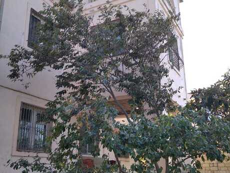 9 otaqlı həyət evi, 420 m², Novxanı: 400 000 ₼ 3