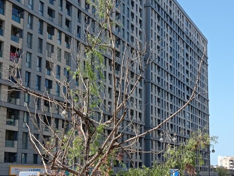 3-room apartment, 71,3 m², Panorama Park: 270 000 ₼ 3