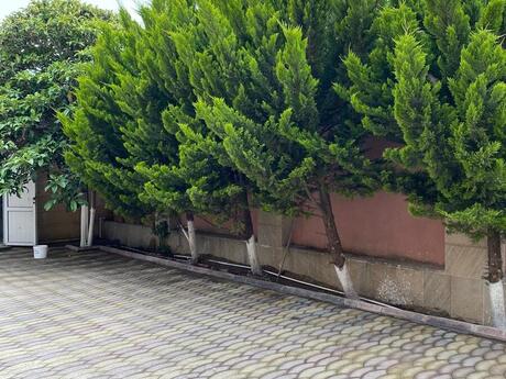 8-room house for sale in Xətai, 450 m², 550 000 AZN, photo 5 / 12