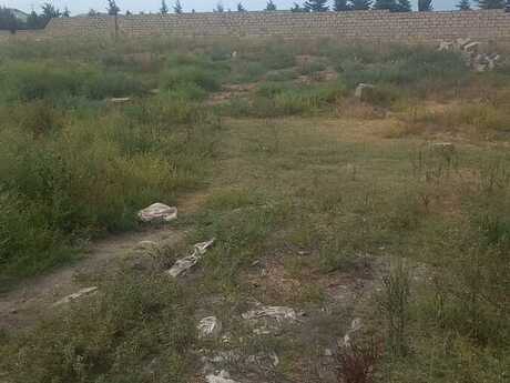 Elan №6487664 - Bakı, Məmmədli q., 23 sot