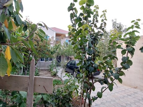6 otaq · 120 m², Masazır