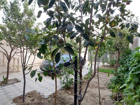 6 otaqlı həyət evi, 120 m², Masazır: 110 000 ₼ 2