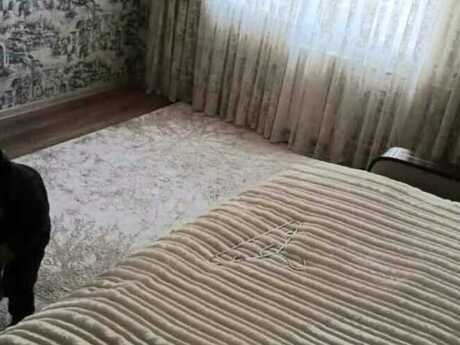 4 otaqlı mənzil, 110 m², Yeni Yasamal: 250 000 ₼ 5