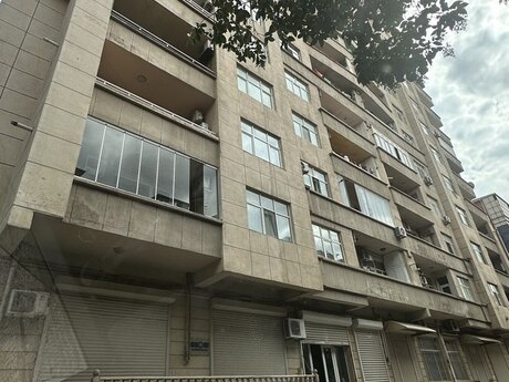 1 Elmlər Akademiyası