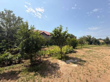 Elan №6470766 - Bakı, Türkan q., 30 sot