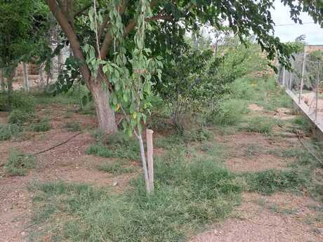 4-room house, 100 m², Zirə: 100 000 ₼ 4