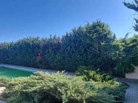 4-room house for rent in Şüvəlan, 150 m², 5 000 AZN/mo, photo 3 / 12