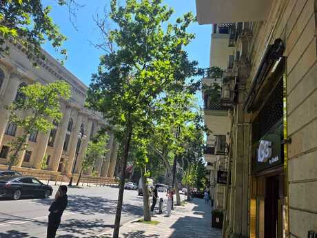 2-room old-build apartment for sale in Sahil, 55 m², 178 000 AZN, photo 3 / 12
