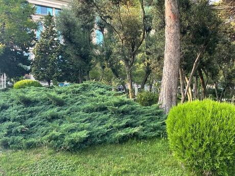 2 otaqlı mənzil, 95 m², Elmlər Akademiyası: 450 000 ₼ 3