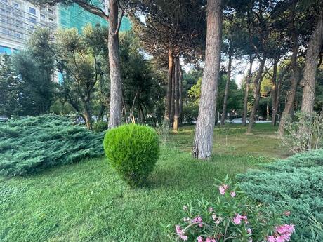 2 otaqlı mənzil, 95 m², Elmlər Akademiyası: 450 000 ₼ 2