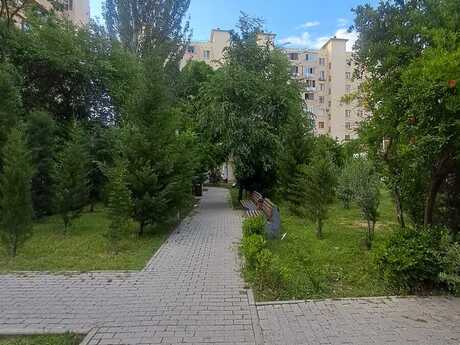 3 rooms · 55 m² · floor 1/9, Həzi Aslanov